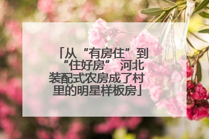 从“有房住”到“住好房” 河北装配式农房成了村里的明星样板房