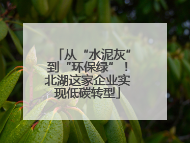 从“水泥灰”到“环保绿”！北湖这家企业实现低碳转型