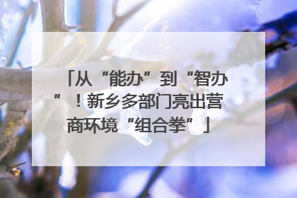 从“能办”到“智办”！新乡多部门亮出营商环境“组合拳”