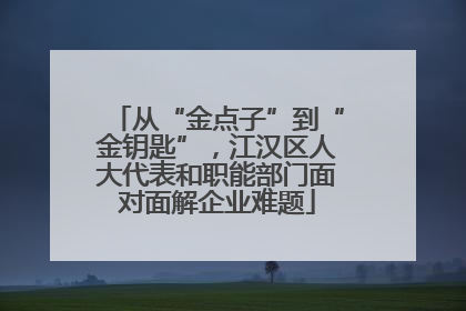 从“金点子”到“金钥匙”，江汉区人大代表和职能部门面对面解企业难题