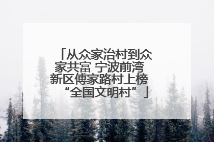 从众家治村到众家共富 宁波前湾新区傅家路村上榜“全国文明村”