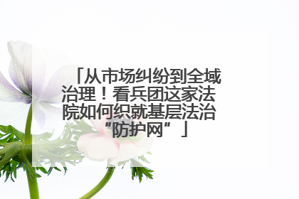 从市场纠纷到全域治理！看兵团这家法院如何织就基层法治 “防护网”