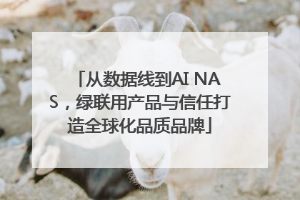 从数据线到AI NAS，绿联用产品与信任打造全球化品质品牌