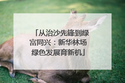 从治沙先锋到绿富同兴：新华林场绿色发展育新机
