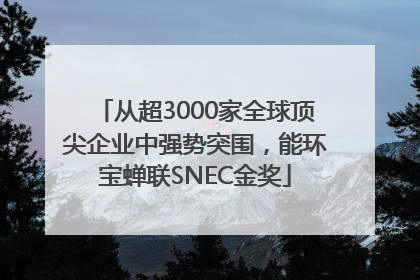 从超3000家全球顶尖企业中强势突围，能环宝蝉联SNEC金奖