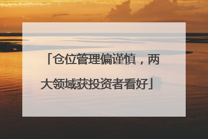 仓位管理偏谨慎，两大领域获投资者看好
