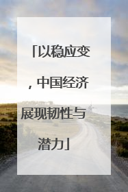 以稳应变，中国经济展现韧性与潜力
