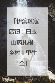 伊滨区寇店镇：白玉山药扎根 乡村土里生金