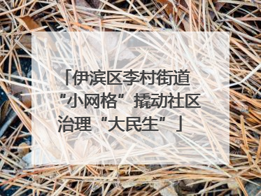伊滨区李村街道 “小网格”撬动社区治理“大民生”