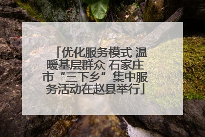 优化服务模式 温暖基层群众 石家庄市“三下乡”集中服务活动在赵县举行