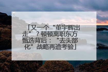 又一个“董宇辉出走”？顿顿离职东方甄选背后：“去头部化”战略再遭考验
