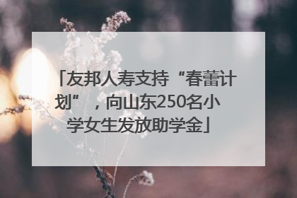 友邦人寿支持“春蕾计划”，向山东250名小学女生发放助学金