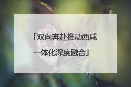 双向奔赴推动西咸一体化深度融合