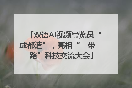 双语AI视频导览员“成都造”，亮相“一带一路”科技交流大会