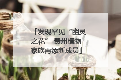 发现罕见“幽灵之花” 贵州植物家族再添新成员
