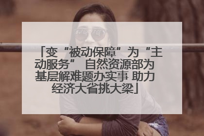 变“被动保障”为“主动服务” 自然资源部为基层解难题办实事 助力经济大省挑大梁