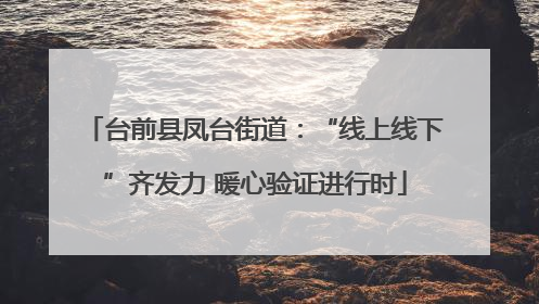 台前县凤台街道：“线上线下”齐发力 暖心验证进行时