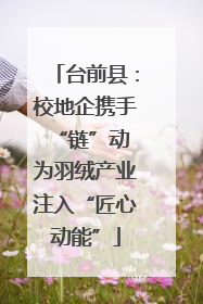 台前县：校地企携手“链”动 为羽绒产业注入“匠心动能”