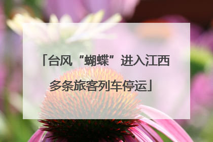 台风“蝴蝶”进入江西 多条旅客列车停运