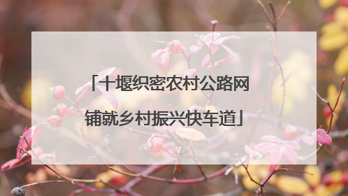 十堰织密农村公路网 铺就乡村振兴快车道