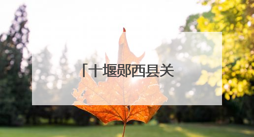 十堰郧西县关防乡：玉米地里话“丰”景