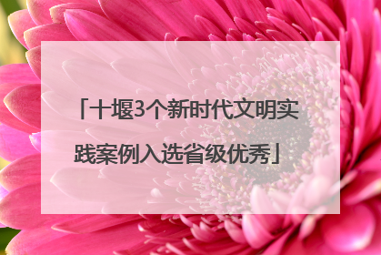 十堰3个新时代文明实践案例入选省级优秀