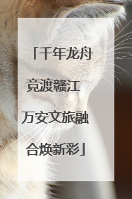 千年龙舟竞渡赣江 万安文旅融合焕新彩