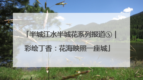 半城江水半城花系列报道⑤｜彩绘丁香：花海映照一座城