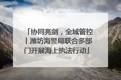 协同亮剑，全域管控丨潍坊海警局联合多部门开展海上执法行动