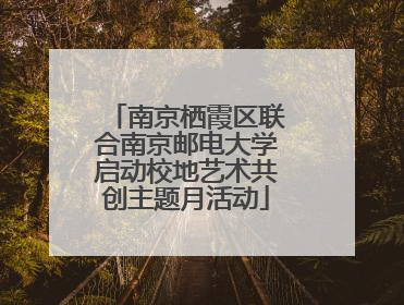南京栖霞区联合南京邮电大学启动校地艺术共创主题月活动