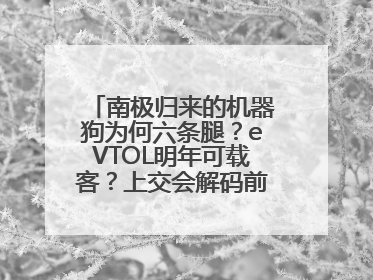 南极归来的机器狗为何六条腿？eVTOL明年可载客？上交会解码前沿技术创新