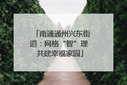 南通通州兴东街道：网格“智”理 共建幸福家园