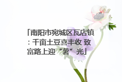 南阳市宛城区瓦店镇：千亩土豆喜丰收 致富路上迎“薯”光
