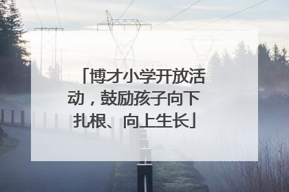 博才小学开放活动，鼓励孩子向下扎根、向上生长