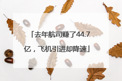 去年航司赚了44.7亿，飞机引进却降速