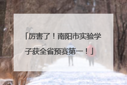 厉害了！南阳市实验学子获全省预赛第一！