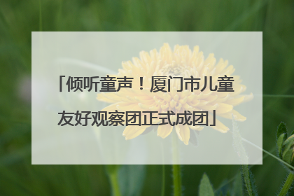 倾听童声！厦门市儿童友好观察团正式成团