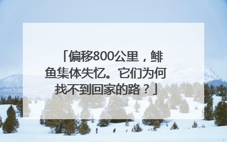 偏移800公里，鲱鱼集体失忆。它们为何找不到回家的路？