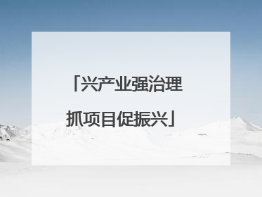 兴产业强治理 抓项目促振兴