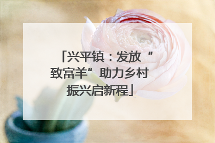 兴平镇：发放“致富羊”助力乡村振兴启新程
