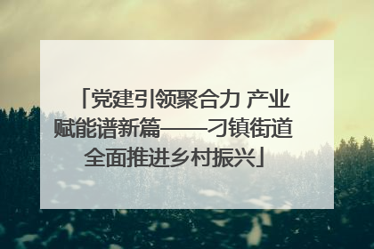党建引领聚合力 产业赋能谱新篇——刁镇街道全面推进乡村振兴
