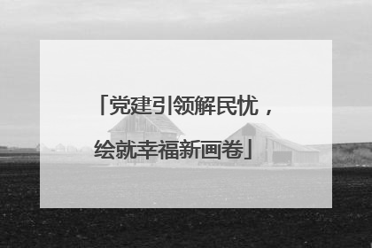 党建引领解民忧，绘就幸福新画卷