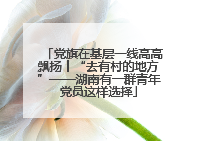 党旗在基层一线高高飘扬丨“去有村的地方”——湖南有一群青年党员这样选择