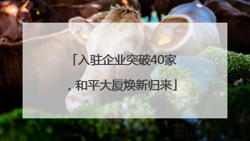 入驻企业突破40家，和平大厦焕新归来