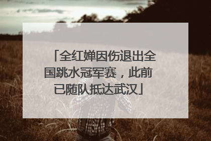 全红婵因伤退出全国跳水冠军赛，此前已随队抵达武汉