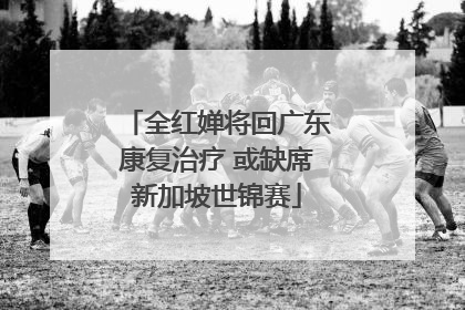 全红婵将回广东康复治疗 或缺席新加坡世锦赛