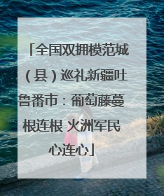 全国双拥模范城（县）巡礼新疆吐鲁番市：葡萄藤蔓根连根 火洲军民心连心