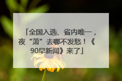 全国入选、省内唯一，夜“萧”去哪不发愁！《90早新闻》来了