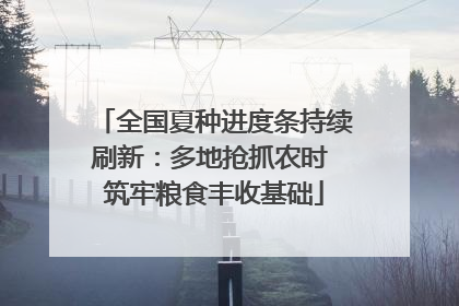全国夏种进度条持续刷新：多地抢抓农时 筑牢粮食丰收基础