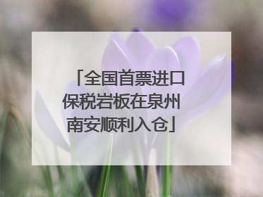 全国首票进口保税岩板在泉州南安顺利入仓